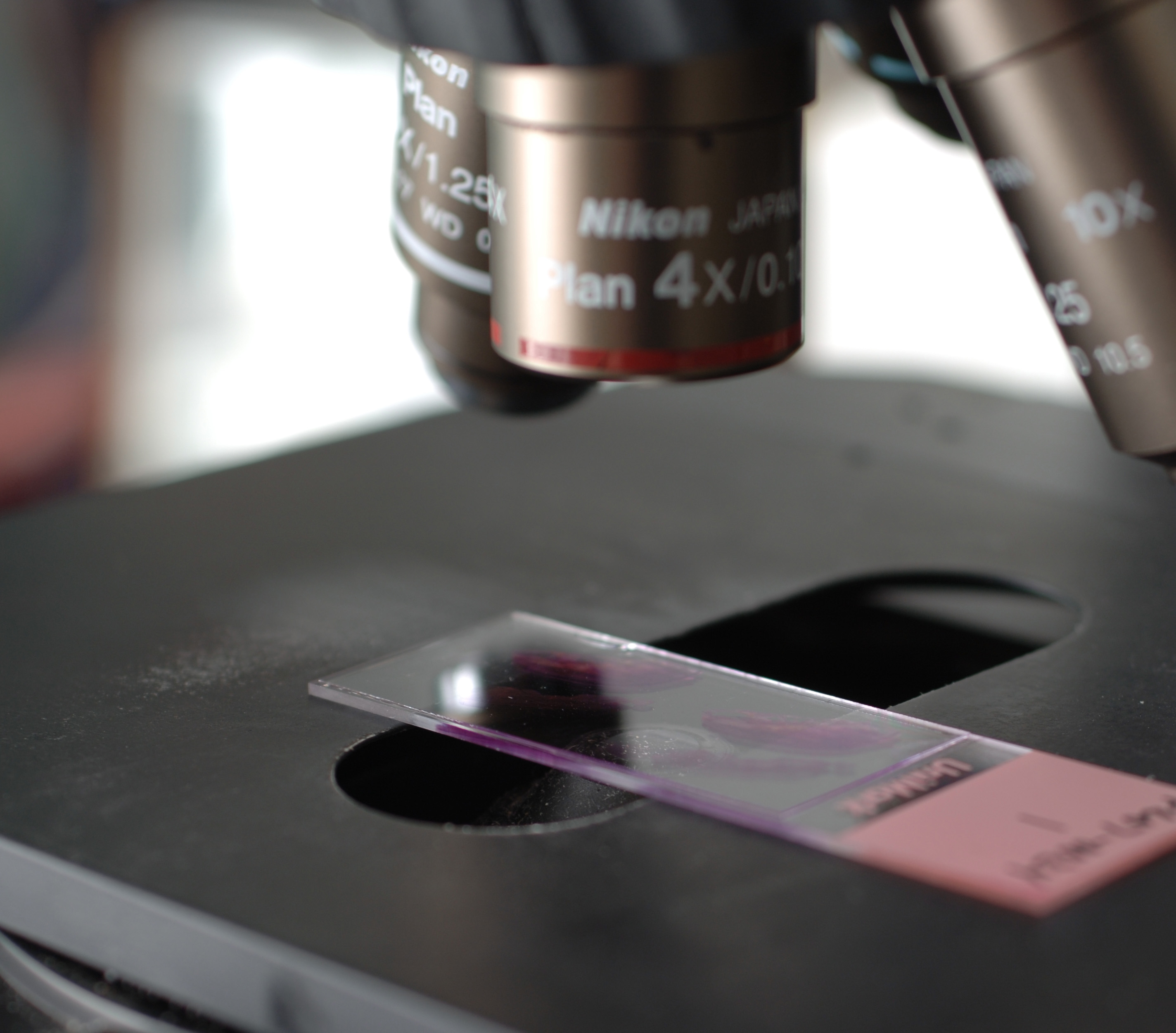 Image of microscope for the microscope link