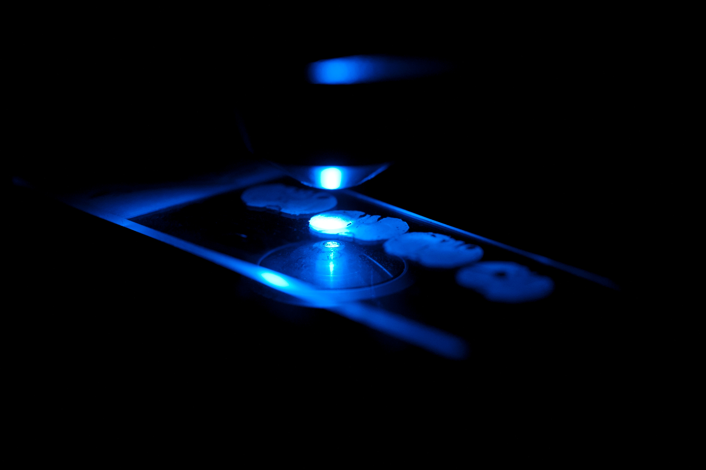 Image of microscope for the project application link
