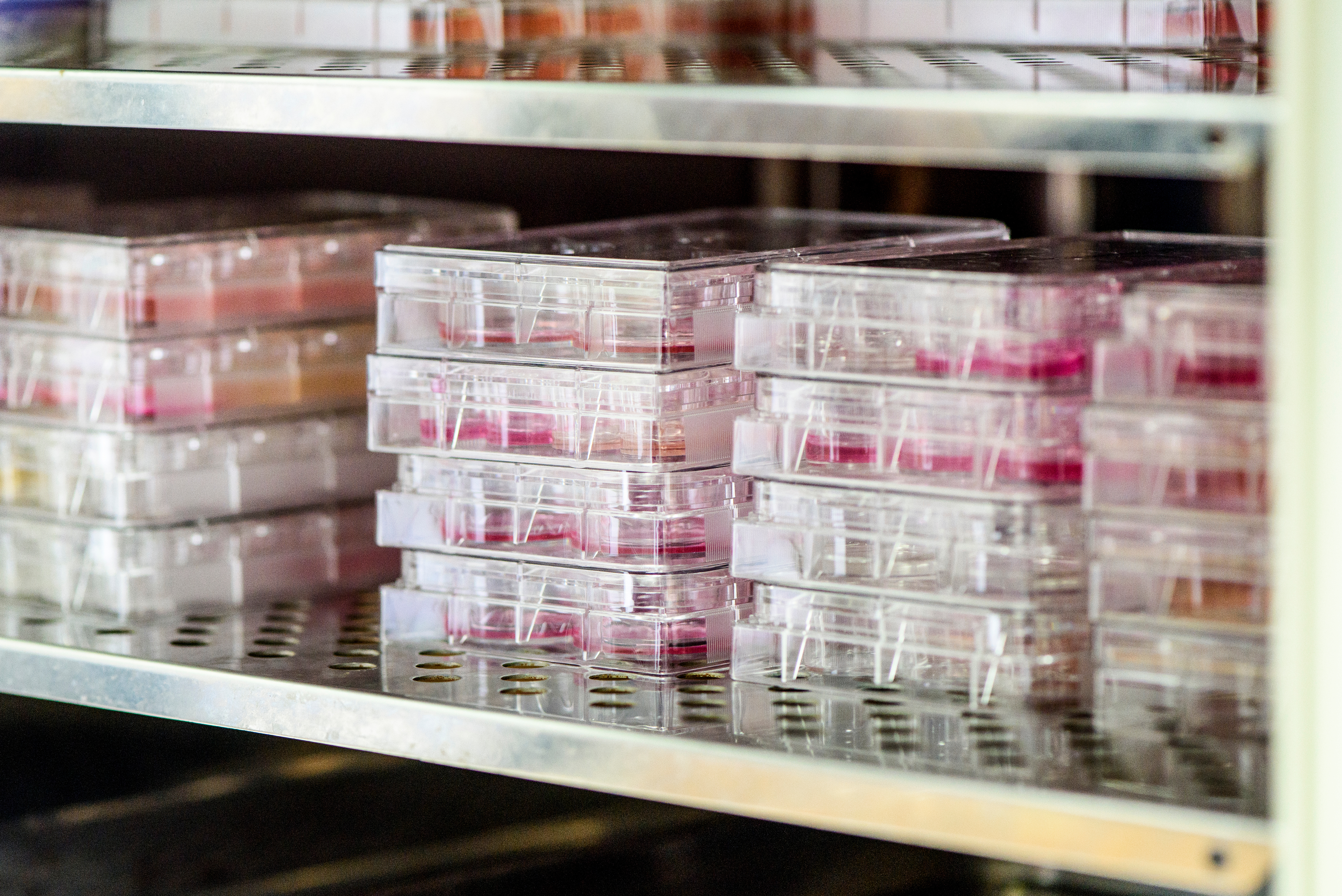 Image of an incubator for equipment link
