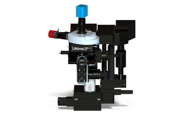 A picture of a microscope with blue and red buttons. 